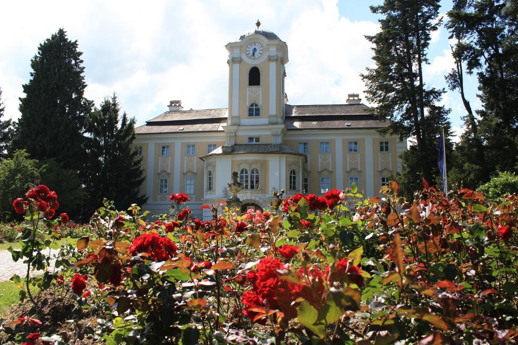 Schlosshotel Rosenau Superior Schloss Rosenau المظهر الخارجي الصورة