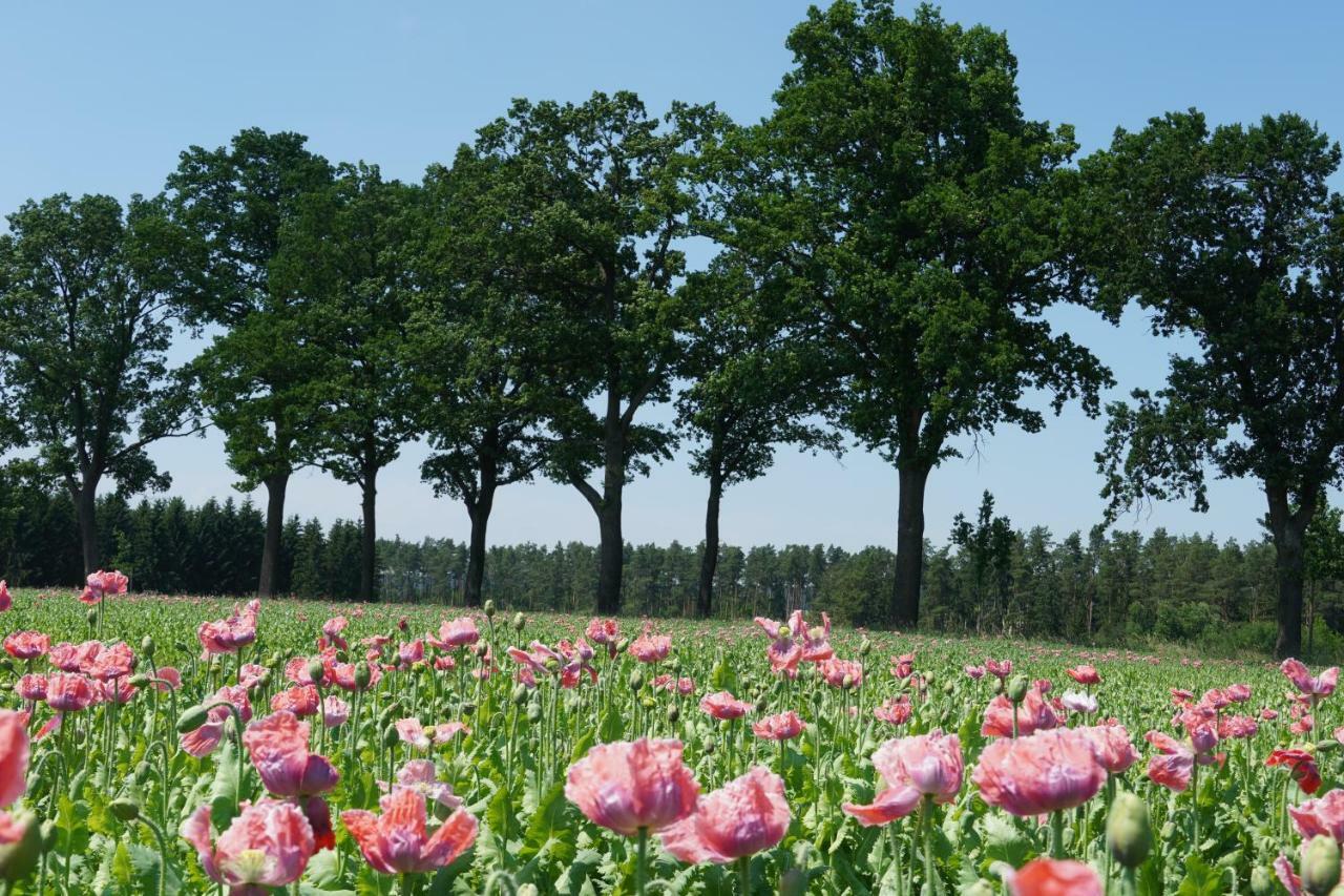 Schlosshotel Rosenau Superior Schloss Rosenau المظهر الخارجي الصورة